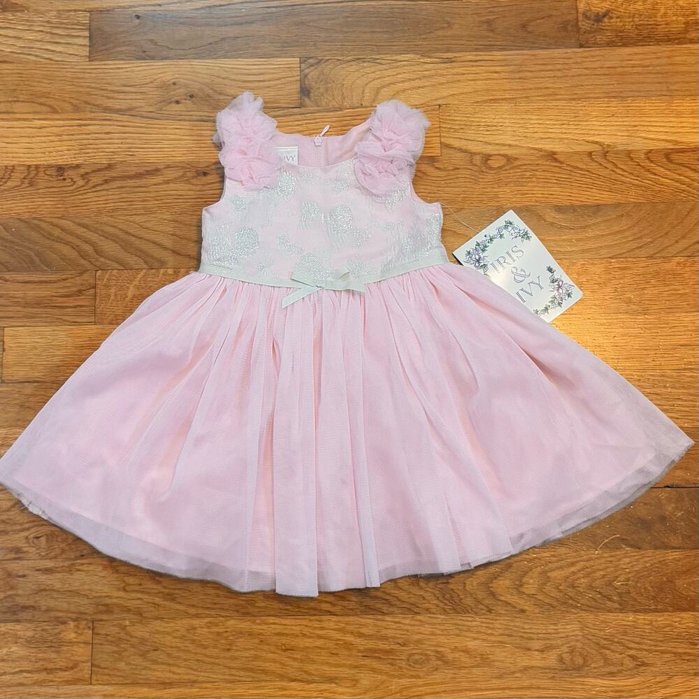 Iris & Ivy Baby Girl 18M Jacquard Silver Pink Tulle Ruffle Princess Party Ballet